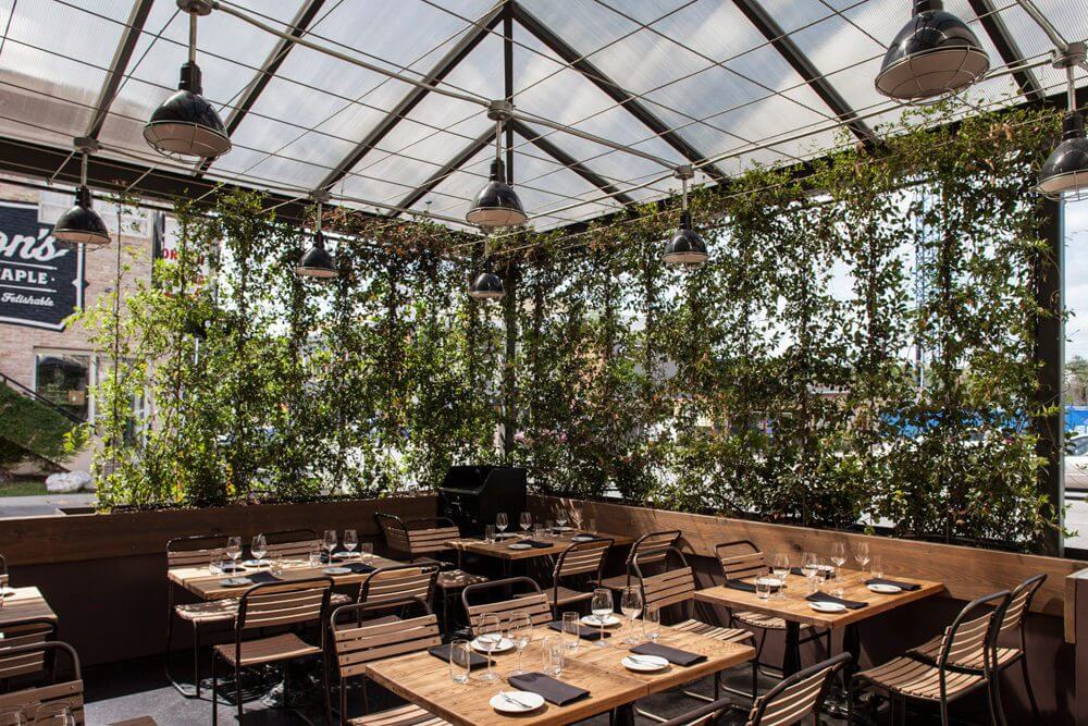 Cozy outdoor dining area with wooden tables and lush green walls under a glass roof.