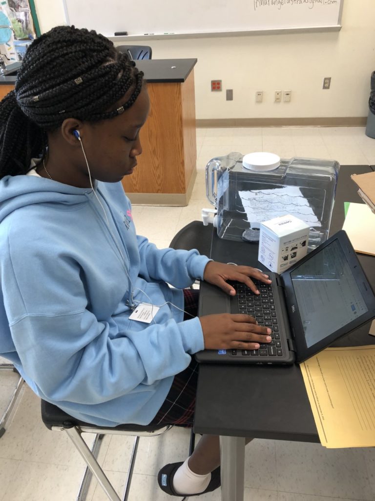 A person typing on a laptop while wearing a blue hoodie and earphones.