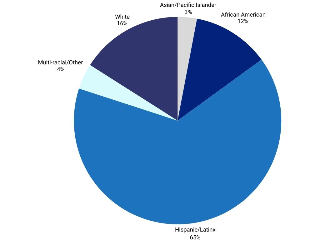 Pie chart showing demographic percentages by race.
