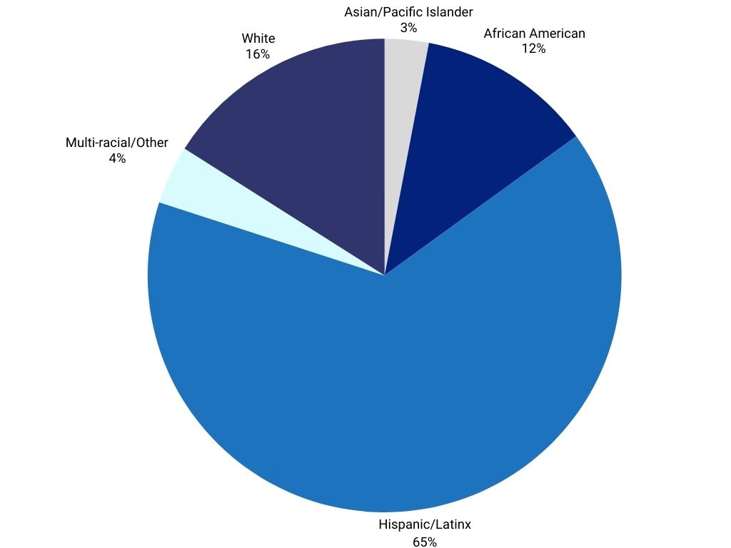 Pie chart of ethnic group percentages.